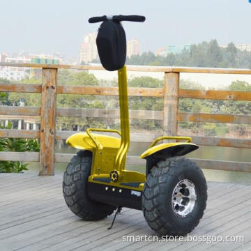 Hot! Electrical Scooter off Road Electric Chariot at Wholesale Price